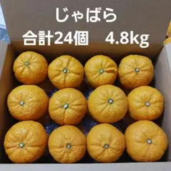 じゃばら　合計24個　4.8kg　送料込み　⑥