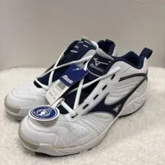 Item thumbnail for item 19845ada-986b-428a-b386-d6df16f76836