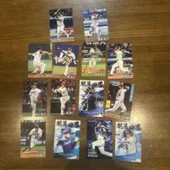 プロ野球 カルビー トレーディングカードセット 14枚
