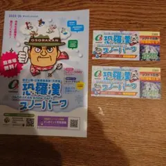 恐羅漢スノーパークリフト券一日券 特別優待券2025〜2026 (2枚)