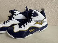Mizuno Rookie バスケットシューズ　バッシュ　ジュニア　キッズ　20