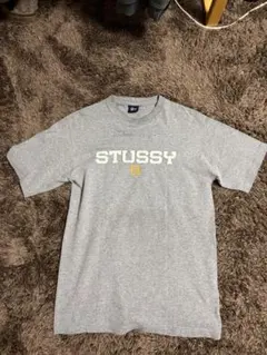 y2k archive OLD STUSSY STU CRU ロゴTシャツ 00s STUSSY STU1980 ビッグロゴTシャツ Y2K archive - メルカリ