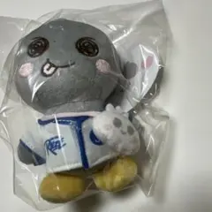 新品未使用】RIIZE ウンソク ソンヨンドリ 10cm ぬいぐるみ - メルカリ
