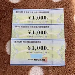 ビックカメラ 株主優待券 3枚セット