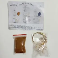 うちの子のけだまだま　茶トラ