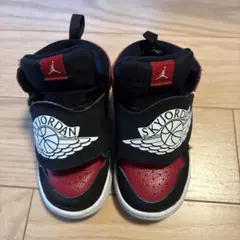 ジョーダン　スカイジョーダン14cm