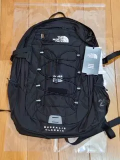 Dover Street Market x The North Face