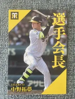 カルビーカード 超レア 41EX EX-01 カルビー 仮面ライダーチップスカード （2003