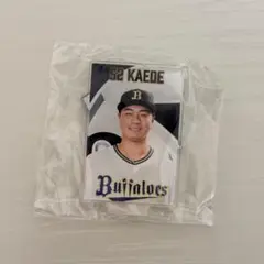オリックス 横山楓