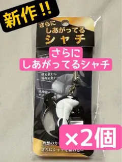 「さらに しあがってるシャチ」 NEWバージョン 須磨シーワールド 岩本照 2個