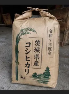 農家直送】令和7年長野県安曇野市産コシヒカリ白米5kg - メルカリ