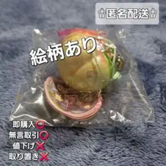 SP15]オールドブルーム THE PEACH ザ・ピーチ 絵柄つき - メルカリ