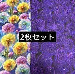 2枚セット　コットン生地 綿100% 各布幅約110×90cm