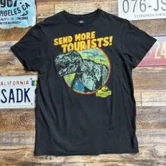 ご*）様 ジュラシックパーク Tシャツ M 映画プリント 恐竜 Tレックス ムー