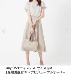 any SISエニィスィス 【接触冷感】ポリベアビジュー プルオーバー 2/Mのサムネイル