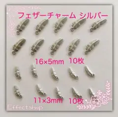 フェザーチャームS