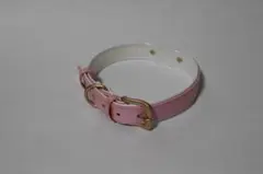 Item thumbnail for item 0b389a7c-c8f0-4351-b618-8b870c05052d