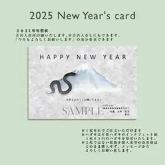 12/23注文締切☆オーダー2025年年賀状５枚☆シルバー背景とシルエットヘビ