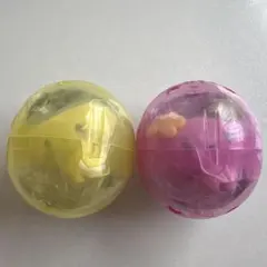 たまごっち カプセルフロッキーズ まめっち ふらわっち