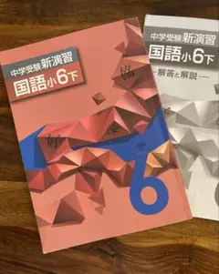 中学受験新演習 国語小6下のサムネイル