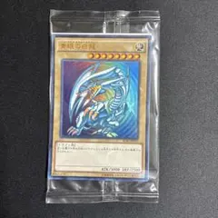 2026年最新】青眼の白龍 scb1-jpp 1の人気アイテム - メルカリ