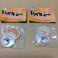 ハイキュー!! キーリングハンガー 日向翔陽 月島蛍 2個セット