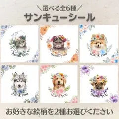 【選べる全6種】サンキューシール ミニサイズ 2種×24枚 48枚