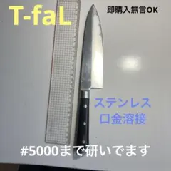 Item thumbnail for item bc9a1dfd-2b9c-49f8-81f4-81c5db23aab8