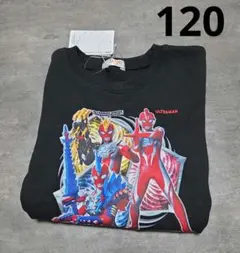 Item thumbnail for item 9afd82b8-01e6-4683-836d-07c00f0ef020