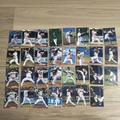 東京ヤクルトスワローズ プロ野球チップスカード