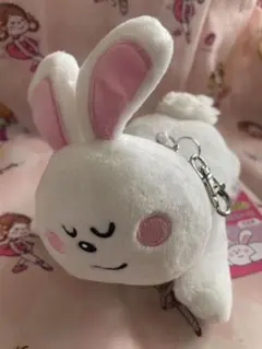 たべっこどうぶつ　パスケース　うさぎ