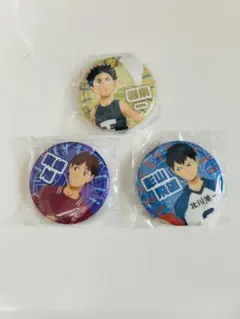 ハイキュー　思い出シャイニー缶バッジ