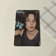 &TEAM Back to Life NICOLAS ニコラス CD-R トレカ