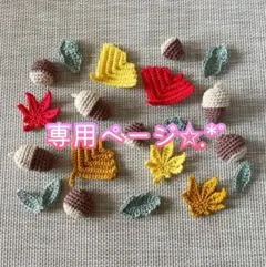 専用ページ✩.*˚