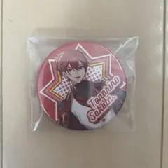 浦島坂田船 夏ツアー となりの坂田 あほの坂田 缶バッジ