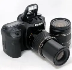 キャノン Canon EOS 50D デジタル一眼レフ バッテリー２個付 Canon デジタル一眼レフカメラ EOS 50D
