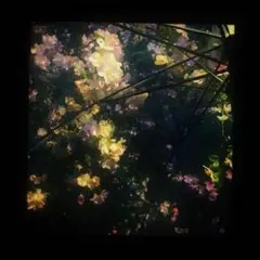 MM様ご確認用