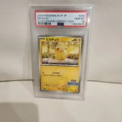 ピカチュウ #242 イラストコンテストカード PSA10