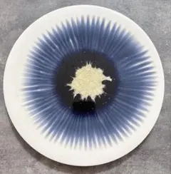 大人気 即完売 和田山真央 薄ピンク 桜 大皿 作家 器 うつわ 作家