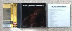 muddy waters