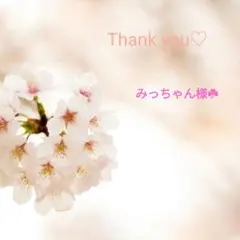 みっちゃん様 リクエスト 2点 まとめ商品