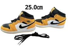 サイズ希少　25.0㎝　Nike Air Jordan 1 Mid 
