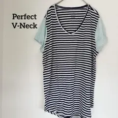 Perfect V-Neck ストライプTシャツ 1X