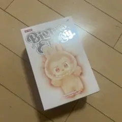 ラフフ新品未開封