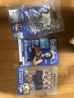（限定品）Bリーグ25-26シーズン　シーホース　来場者限定パーフレット