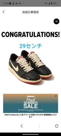 Nigel Sylvester Air Jordan 1 Retro Low