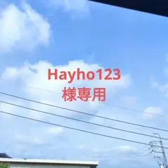 拡大・縮小可能なポリエステル枕 1点