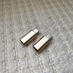 Lightning→Type-C 変換アダプタ 2個セット