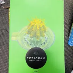 SMAP VIVA AMIGOS! SUMMER CONCERT パンフレット