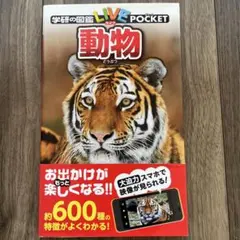 K.K.様 リクエスト 2点 まとめ商品